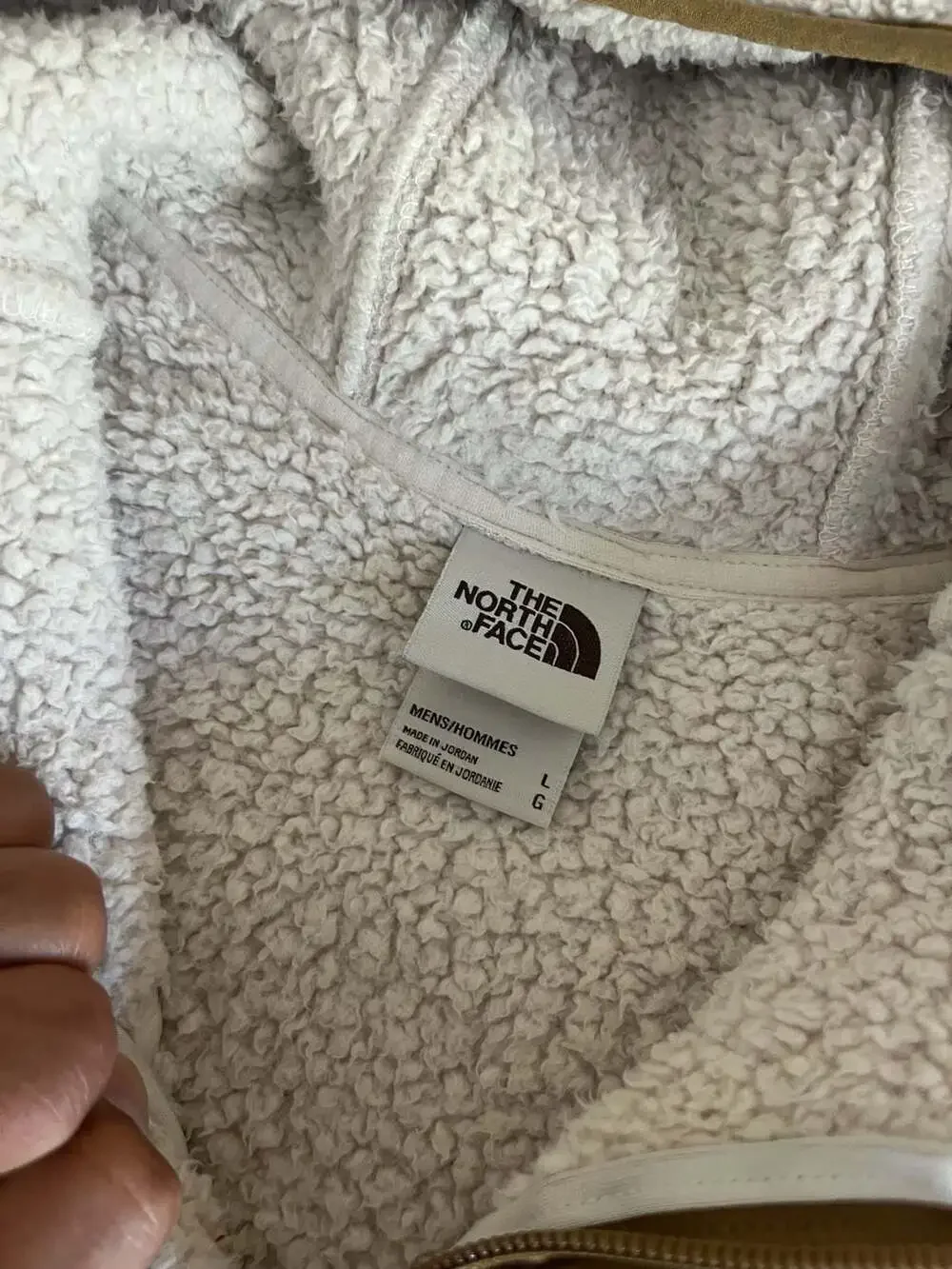 The North Face Men's Campshire Sherpa Fleece Pullover Hoodie